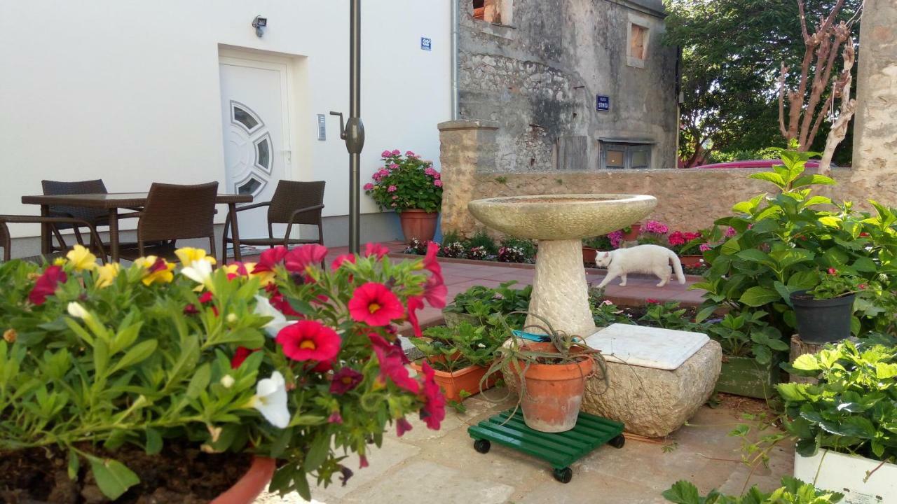 Apartmani Filip Zadar Diklo Ngoại thất bức ảnh
